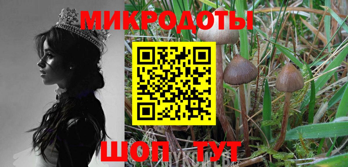 Галлюциногенные грибы MAGIC MUSHROOMS  Вход с VPN  Псилоцибиновые грибы мухоморы  магазин  наркотиков  Кушва 